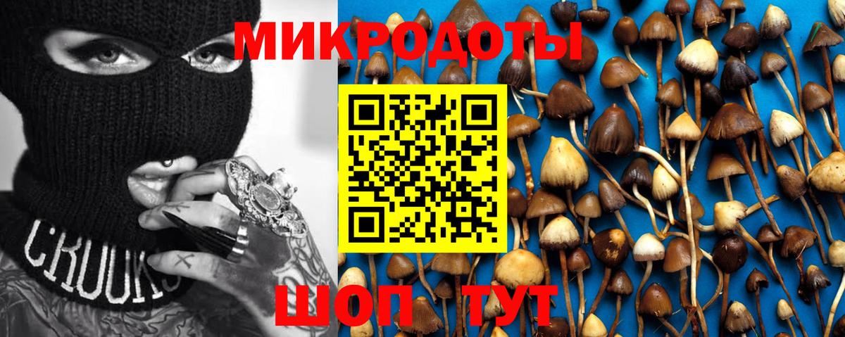 Мурино  Галлюциногенные грибы мухоморы  Вход с VPN 